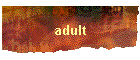 adult