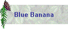 Blue Banana