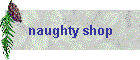 naughty shop